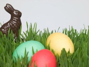 Easter eggs and bunny