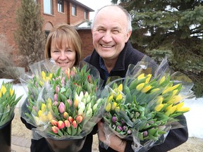 Cindy and Garry Shyminsky display tulips that can be purchased at three locations in Sudbury, Ont. as part of the Hope in Bloom campaign fundraiser on Wednesday March 23, 2016. John Lappa/Sudbury Star/Postmedia Network