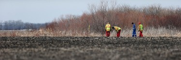 Searchers look through farmers' field and ditches hoping to find 2 year old Chase Martens near Austin, Man., on Thursday, March 24, 2016. THE CANADIAN PRESS/John Woods
