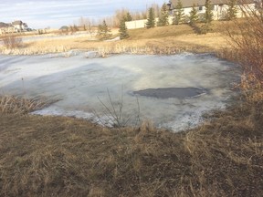 A hole in the ice covering a retention pond in the Lakewood neighbourhood marks the spot where an eight-year-old boy fell through the ice last week. His six-year-old brother was able to pull him out and neither boy was injured. - Photo submitted by Deanne Miketon