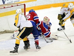 Edmonton Oil Kings goalie Payton Lee backstopped the team to a 4-2 win over the Brandon Wheat Kings in Game 1 of their series on Thursday in Brandon. (Tim Smith, Brandon Sun)