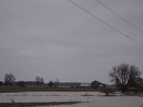 Heavy rains across the region have pushed creeks and rivers over their banks.