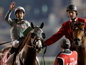 Victor Espinoza rides California Chrome from USA as he celebrates after winning the ninth and final race. (REUTERS/Ahmed Jadallah)