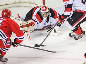 Ottawa 67’s goalie Leo Lazarev makes a poke check to keep the puck from Niagara IceDogs’ Vince Dunn in Game 2 of their series. (Bob Tymczyszyn/Postmedia Network)