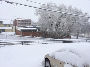 The people of Pincher Creek woke up to the first snow cover of March on the 25th. More snow is expected on the 28th. Jocelyn Doll photo, Pincher Creek Echo.