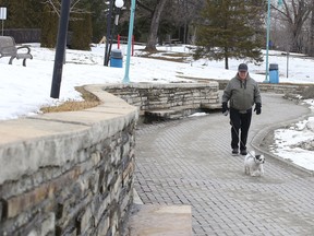 Curry Stedman walks his dog Ches in Bell Park in Sudbury on Monday. Gino Donato/Sudbury Star/Postmedia Network