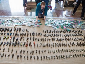 Sarah Kirkpatrick-Wahl lays out some of the nearly 1000 birds at Ottawa city hall as the group Safe Wings Ottawa publicizes the program run by volunteers to record and collect birds that have died by flying into windows in downtown Ottawa.