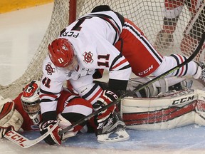 Ottawa 67's goalie Leo Lazarev gets run over by IceDogs forward Brendan Perini during second-period OHL action at TD Place in Ottawa on March 29, 2016. (Tony Caldwell/Postmedia)