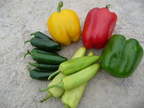 John DeGroot photoA collection of peppers, clockwise: Sweet yellow bell, sweet red bell, California wonder green bell, yellow hot banana, and jalapeno. 
SARNIA OBSERVER/POSTMEDIA NETWORK
