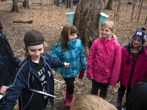Stana Luxford Oddie, education officer at the Little Cataraqui Creek Conservation Area demonstrates how to measure whether a tree is suitable for tapping on Friday Apr. 1 2016 by measuring grade 2 student Carter Babcock. Hannah Lawson/Kingston Whig-Standard/ Postmedia Network