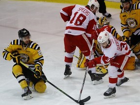 Sarnia Sting forward Matt Mistele and Gabe Guertler of the Soo Greyhounds battle for the puck in front of the Sting's net during Game 5 of the Ontario Hockey League Western Conference quarter-final at the Sarnia Sports and Entertainment Centre on Saturday, April 2, 2016 in Sarnia, Ont. Terry Bridge/Sarnia Observer/Postmedia Network