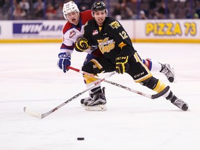 The Wheat Kings beat the Oil Kings. (EDMONTON SUN)