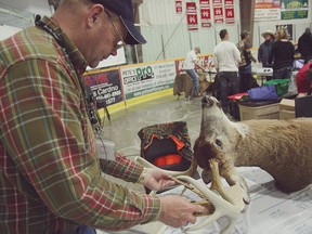 Tim Bast from Alma Ont. measures a deer at the Seaforth Big Buck Day and Gun Show on April 2. (Shaun Gregory/Huron Expositor)