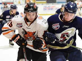 Lloydminster Bobcats' Kris Spriggs and Spruce Grove Saints' Jordan Thomas battle for the puck alongside the boards during the second period of the AJHL North finals Game 3 at the Centennial Civic Centre on Monday in Lloydminster. (Tyler Marr)