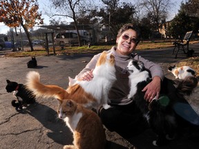 In this Dec. 17, 2015 photo, Lynea Lattanzio, founder of Cat House On The Kings, plays with some of her cats in Reedley, Calif. Lattanzio has turned her 12 acre, 4,000-square foot ranch home into what's believed to be the largest no-cage cat sanctuary and adoption centre in the U.S. (Eric Paul Zamora/The Fresno Bee via AP)