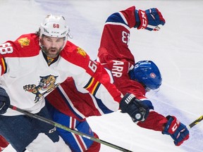 The Florida Panthers (and St. Louis Blues) have the most Canadian players on their roster. Czech star Jaromir Jagr isn’t one of them, though. (THE CANADIAN PRESS/Graham Hughes)