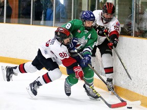 Noah Vom Scheidt  and Connor Rooney  of the Ottawa Senators battle for the puck with Jimmy Blanchard of the Sudbury Wolves during the All-Ontario Peewee AAA Championship in Sudbury, Ont. on Thursday April 7, 2016. Gino Donato/Sudbury Star/Postmedia Network
