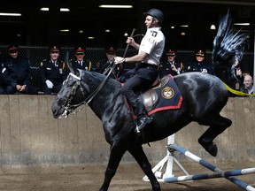The Toronto Police Service Mounted Unit graduation ceremony takes place at the Horse Palace, Exhibition Place on Thursday April 7, 2016. The Toronto Police Service Mounted Unit is celebrating its 130th anniversary, making it the oldest unit in the history of policing in Toronto.Veronica Henri/Toronto Sun/Postmedia Network