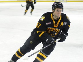 Providence Bruins right-winger Seth Griffith of Wallaceburg. (MOLLY MALONE/Photo courtesy of Providence Bruins)