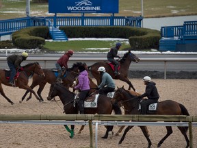 Riders test out the Woodbine track on Thursday in advance of opening day for the thoroughbreds on Saturday afternoon. (MICHAEL BURNS PHOTO)