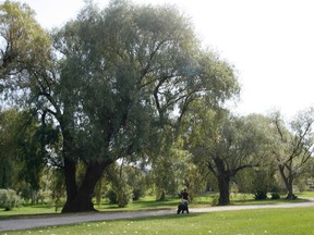 Arboretum at Central Experimental Farm.