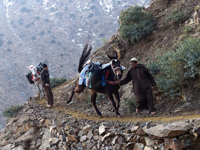 Moroccans and their donkeys head to the village of Taghdouine to buy supplies for their remote village in el-Haouz province in the High Atlas Mountains south of the capital of Marrakesh. Among Belgium's Muslim minority, Moroccans form the largest community. Photo for use with this story only. Abdelhak Senna, AFP, Getty Images.