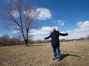 Ward 1 councillor Michael Van Holst stands in a 25 acre field, owned by Accuride, which he hopes will become an urban agricultural project space. The land, which had previously been farmed, now sits unused and could be an incubator for agriculture-related social enterprises, Van Holst says.  Craig Glover/The London Free Press/Postmedia Network