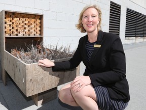 Fairmont Winnipeg marketing manager Pascale Rocher with the bee hotel on the downtown Winnipeg hotel's rooftop on Fri., April 8, 2016. A rooftop garden will be added and two hives are expected to be installed in mid-to-late May, weather depending.