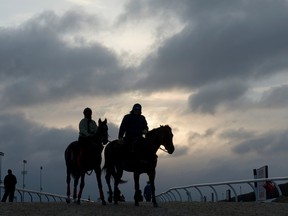 Trainer Malcolm Pierce walks off the track during preparation for the start of the 133-day thoroughbred racing season, which starts today at Woodbine. (Michael Burns/photo)
