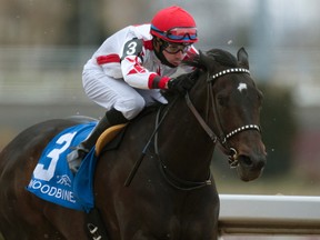 Jockey Florent Geroux guides Leigh Court to victory in the Grade III Whimsical Stakes at Woodbine Racetrack on Sunday. Leigh Court is owned by Speedway Stable LLC and trained by Michael Stidham.  “She gave me a very nice turn of foot and was very strong,” Geroux said of Leigh Court. (MICHAEL BURNS/Photo)
