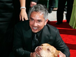 Television personality and dog psychologist Cesar Millan arrives for the Creative Arts Emmy Awards in Los Angeles Aug. 19, 2006. (AP Photo/Chris Carlson)