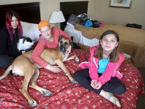 Maegan Maxam, left, (holding Kirby), with her mother Jackie Maxam and daughter Harmony Maxam-Kozushyna, 9, with Autumn the English great dane in their temporary home, the Econo Lodge on Princess Street. (Ian MacAlpine/The Whig-Standard)