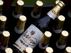 Bottles of Radeberger beer are pictured in Berlin, Germany, April 13, 2016. REUTERS/Hannibal Hanschke