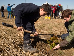 Rayan Abou Hala, 12, and Ryan Sluziuk of Emily Carr public school plant a white cedar Thursday morning. They were among over 600 students planting native trees and shrubs in parkland near Dingman Drive and Wonderland Road in London, Ont. on Thursday April 14, 2016. Mike Hensen/The London Free Press