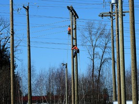 BC Hydro power line technicians are pictured in Surrey, B.C., in this file photo. BC Hydro workers rescued a stubborn cat named Miss Kitty from a power pole in Princeton. (Nick Procaylo/Postmedia Network)