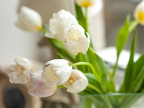 Once all the cleaning is complete, the fun begins. Set a vase filled with fresh white tulips on the kitchen countertop, in the powder room or on a nightstand.