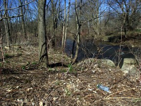 The Thames River Cleanup takes place on April 23 in Woodstock. (HEATHER RIVERS/WOODSTOCK SENTINEL-REVIEW)