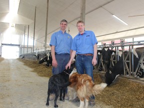 Jan and Evert Veldhuizen at their Woodstock-area farm, along with dogs Happy and Roxy. The brothers are this year's hosts for Breakfast on the Farm, which takes place June 11, 2016. (MEGAN STACEY/Sentinel-Review)