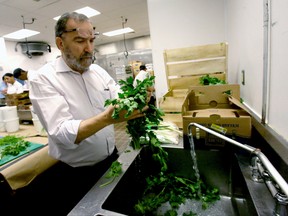 In this April 18, 2016 photo, Rabbi Raphael Berdugo checks parsley for insects as part of the preparation for the Passover holiday at the Waldorf Astoria resort at Disney World in Orlando, Fla. More than 1,000 Jews are expected to stay at the resort and take part in the eight day celebration. (AP Photo/John Raoux)