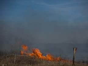 A brush fire in Maskwacis, Alberta on April 18, 2016. AMBER BRACKEN