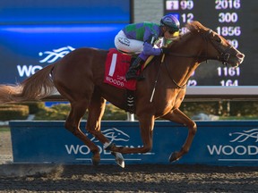 Ami’s Gizmo, seen here being ridden to victory at the Kingarvie Stakes in November by jockey Luis Contreras, is the favourite for Sunday’s Wando Stakes. (MICHAEL BURNS PHOTO)