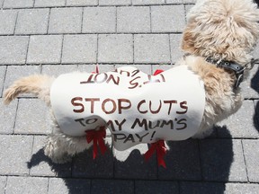 Doctors protested at Queen's Park on Saturday. (VERONICA HENRI, Toronto Sun)