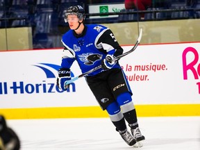 Saint John Sea Dogs defenceman Thomas Chabot (pictured) and Gabriel Gagne, a winger with the Victoriaville Tigres, are good friends off the ice after being selected by the Senators at the NHL draft last year. (QMJHL/Handout)