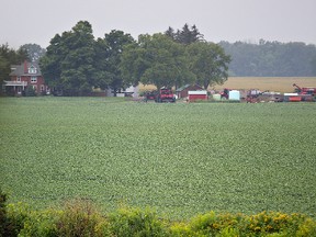 Farmers will get a letter in early May about the 2016 Census of Agriculture. (Expositor Photo)