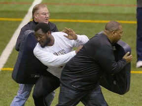 Manitoba Bisons defensive tackle David Onyemata (middle) breaks past Bill Johnson of the New Orleans Saints and Chris Wilson of the Philadelphia Eagles during an NFL scouting session in Winnipeg Monday March 14, 2016. Onyemata was selected in the NFL Draft on Saturday by the New Orleans Saints. (Brian Donogh/Winnipeg Sun/Postmedia Network)