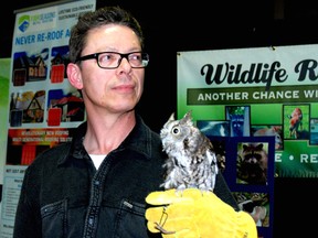 Tom Forsythe of Wildlife Rehabilitation, holds an eastern screech owl in need of a name at the St. Thomas Home and Garden Show on April 2. The agency is running a contest to find a moniker for their wildlife ambassador, who is too injured to survive on his own in the wild.