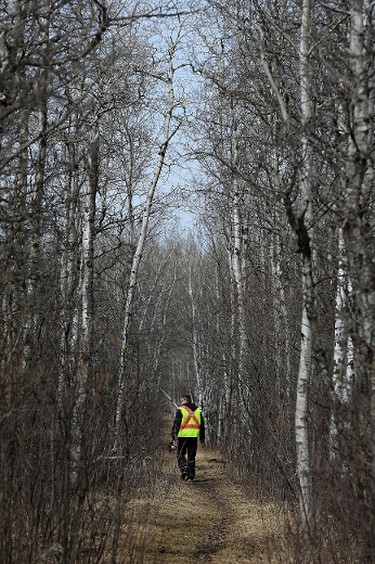 Members of the Bear Clan Patrol conduct a search for Cathy Curtis in the Assiniboine Forest on Wed., April 27, 2016. Curtis, 60, went missing in the St. James area on Monday. Kevin King/Winnipeg Sun/Postmedia Network