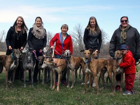 Owners Sharon McKenty, left to right, Katelin Kurpieweit, Christyne Flynn, Nancy Page, Savannah Vince, Alicia Williams and Ryker Williams with greyhounds Ben, left to right, Lily Poet, Grace, Nixon, Ruby, Nigel, Banana, Grady and Rocket at Lemoine Point. (Steph Crosier/The Whig-Standard)
