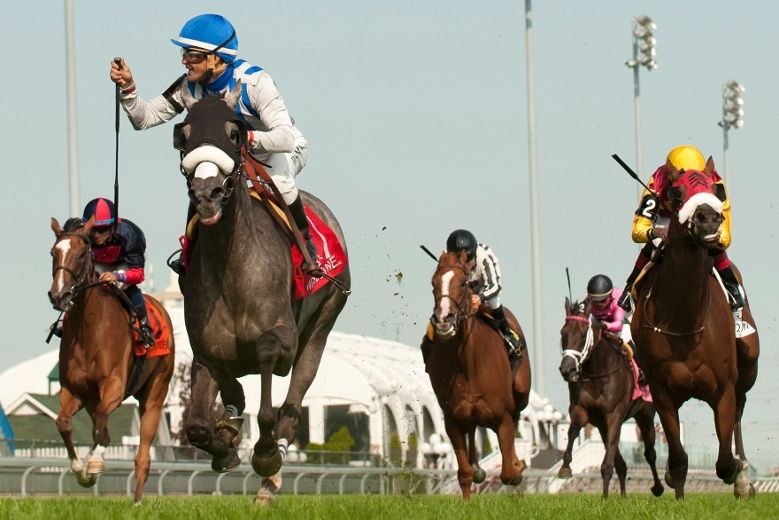 Clockwise horse racing coming to Woodbine track Toronto Sun