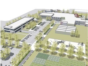 Qualico's proposal has a public library and skating rink at the top left, school entrance to the right, temporary classroom space in the foreground that could be converted to seniors housing.